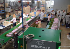 Thereafter, all bouquets are checked and placed into the buckets.