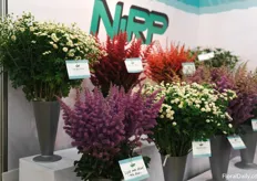 Beautiful varieties at NIRP. 