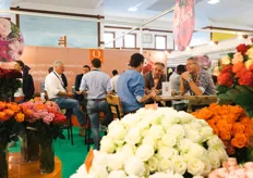 Meetings at Dümmen Orange