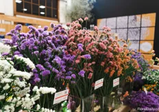 Different colors Limonium at the booth of Ball