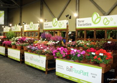 A large area was dedicated to showcasing new varieties