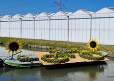 A bicycle made of sunflowers