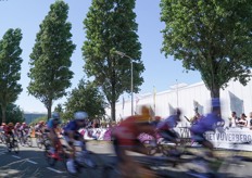 The cyclists passing by Piet Vijverberg's greenhouses.