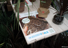 peat-free cultivation is increasingly relevant within the green industry