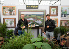 Alexander and his colleague (Van Oploo Tuinplanten)