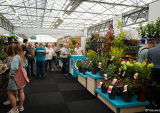 Crowds in the exhibition halls