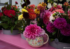 Dahlias could also be found at the fair