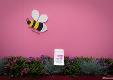 More pink, AND bees.