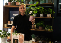 Thai Constellation Monstera are a popular species.