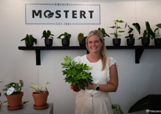 Amber from Kwekerij Mostert shows off a new Schefflera that is about to hit the market.