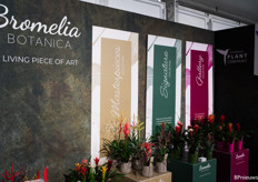 The stand of Bromelia Botanica