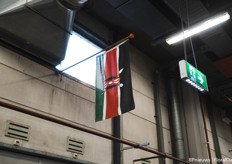 The Kenyan flag