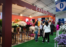 The Cantiza booth with their alpacas was a popular photo spot