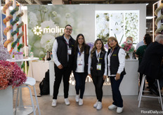 The Malima team, they do tinted gypsophilia