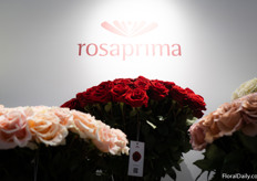 The brand rosaprima