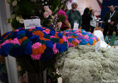 Their rice flowers in different colors