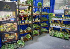 The Bennet Plants booth, with 'succulents for every lifestyle' 