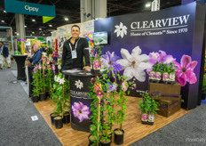 Wesley Wein, showing the Clematis products of Clearview 