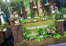 The Penang Nursery's booth