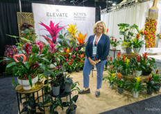 Traci Kelemen, Elevate Living Design and Kents Bromeliad Nursery. The company has expanded its product lines with foliage.