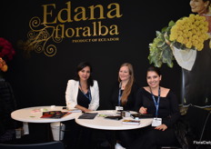 The team oF Edana.