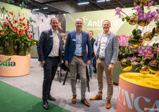 Stefan de Hoog, Robert Kuijf and Erwin Koopstra of Anthura with their phalaenopsis and anthuriums.