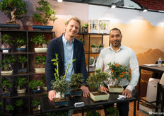 Berend and Joost of Oriental Group with Bonsai trees