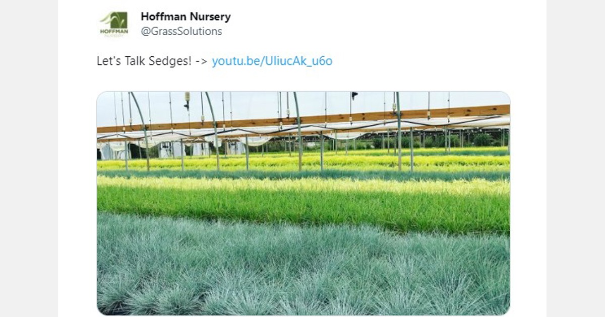 Hoffman Nursery