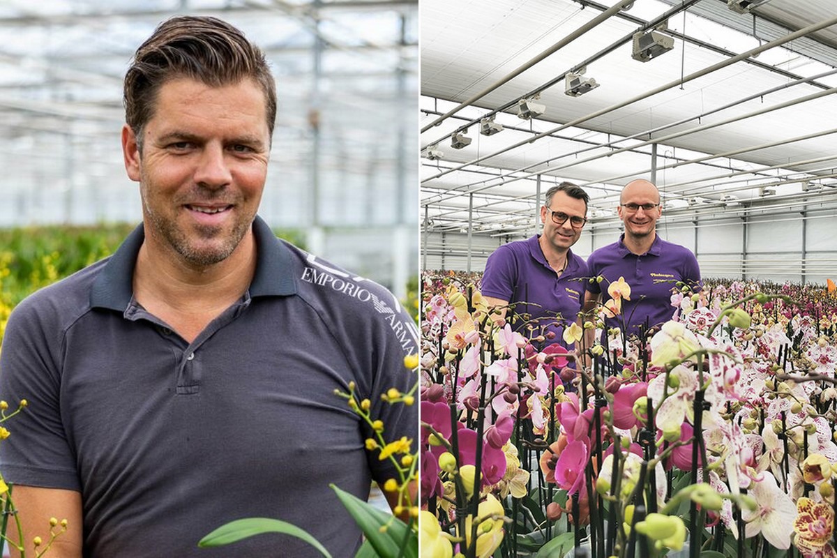 Orchid Inspiration Days Grows Two New Participants In June 2024   Inspiration 