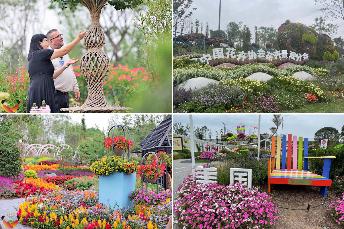 2024 Chengdu Horticulture Expo Flowers are shown with impressive design