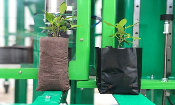Potato Planter Bags - Propagation Products - Garden Health
