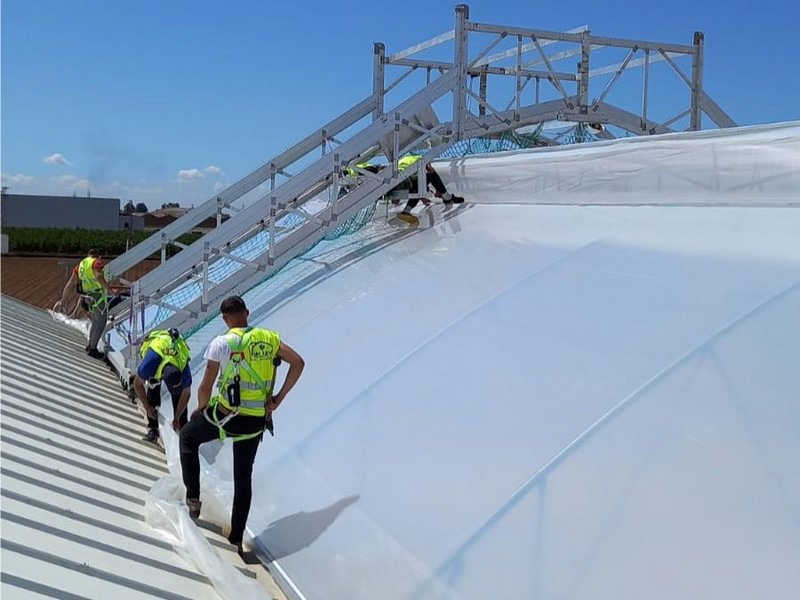 Changing The Cover Of A Greenhouse Without Affecting Production   Huete1 